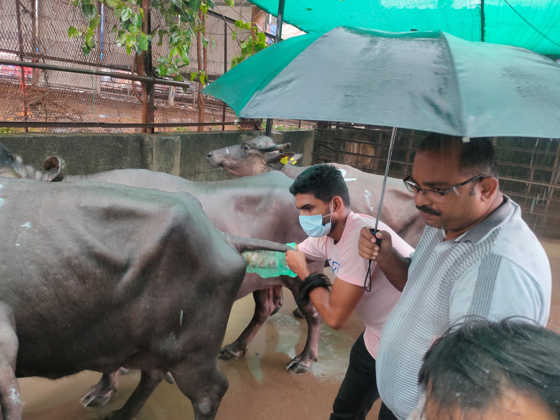 Student Performing Per Rectal Examination At Deonar2